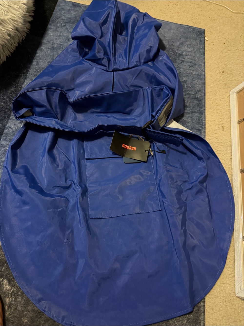 The Cutest Raincoat for your Dog